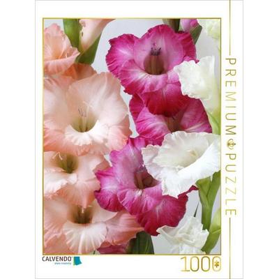 CALVENDO Puzzle Gladiolen | 1000 Teile Lege-Größe 64x48cm Foto-Puzzle für glückliche Stunden, Sonstige von , Calvendo Puzzle