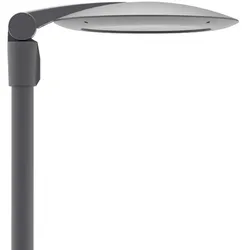 Leipziger Leuchten LED-Mastan-/aufsatzleuchte 9.202.8115.058