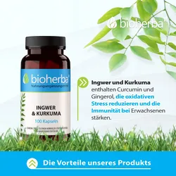 Ingwer und Kurkuma 100 Kapseln