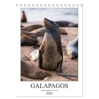 Galapagos - Atemberaubende Tierwelt (Tischkalender 2026 DIN A5 hoch), CALVENDO Monatskalender