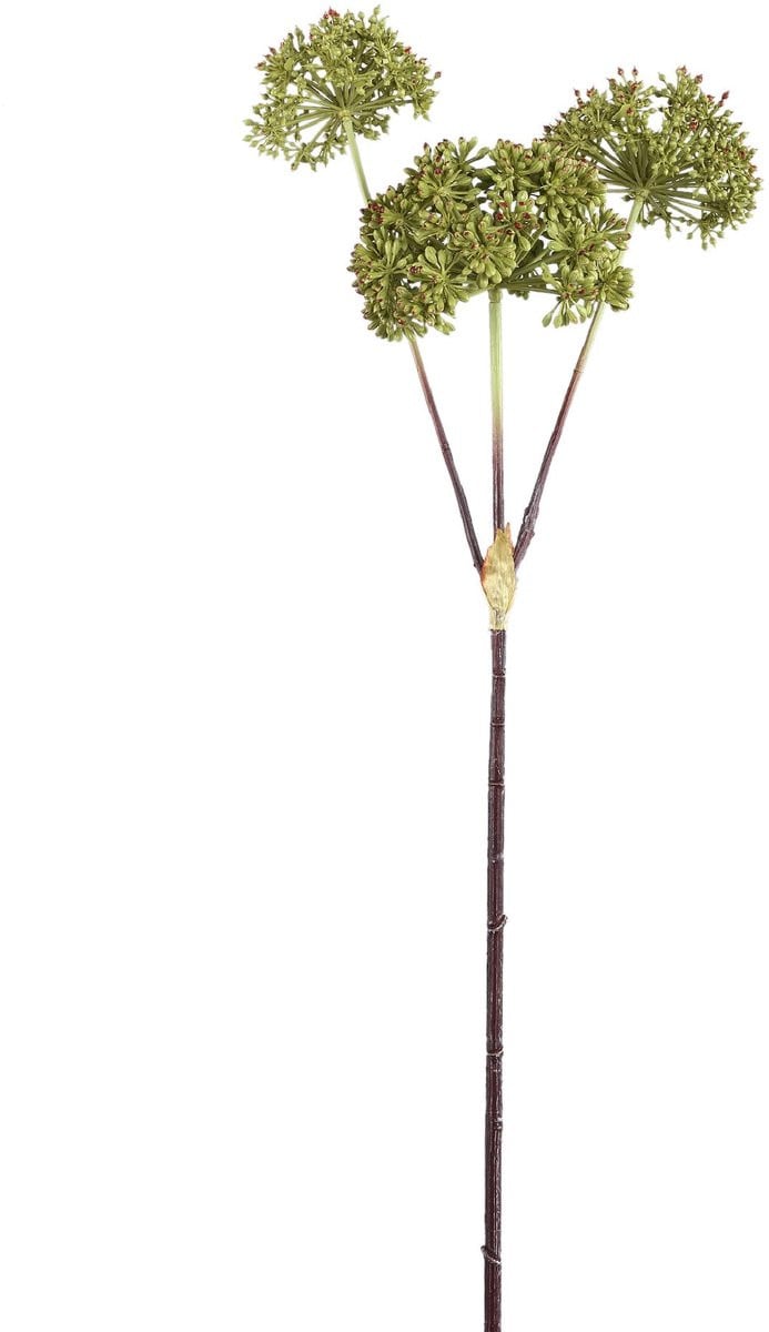 PTMD Kunsttak Garden Groen B/D/H: 30 x 35 x 78 cm