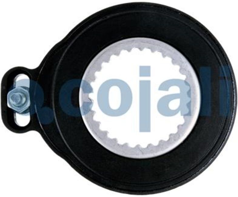Cojali Contatto di segnalazione usura 2260702