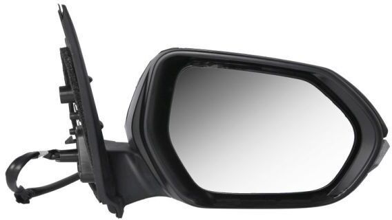 BLIC 5402-19-2392317P Wing mirror
