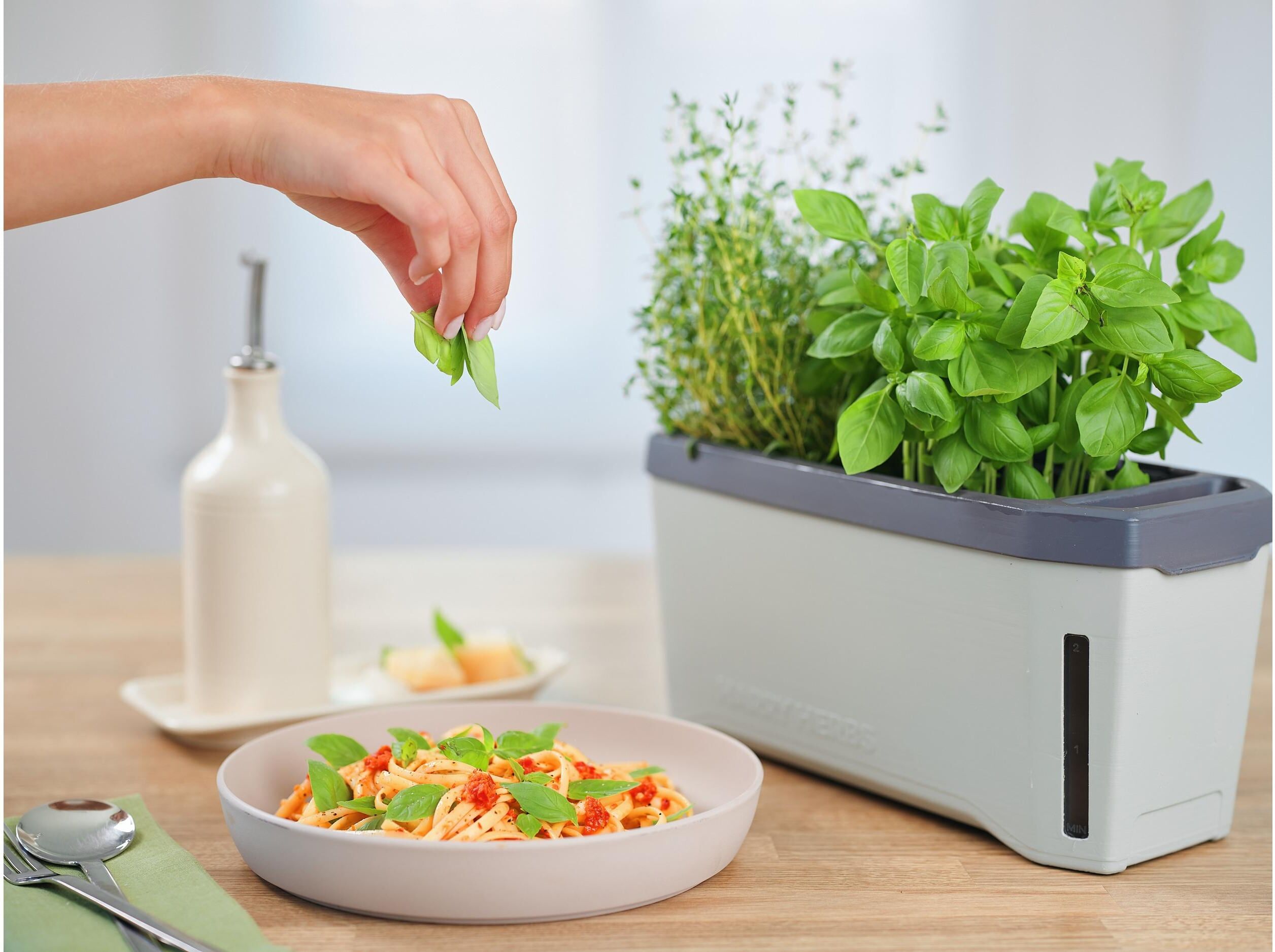 Kräutertopf GUSTA GARDEN "HERBS hellgrau", grau, B:35,8cm H:25cm T:15cm, Kunststoff, Pflanzgefässe, Kräutertopf grau B/H/T: 35,8cm x 25cm x 15cm