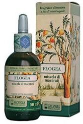 ARCANGEA Srl FLOGEA SOL IDROAL 50ML