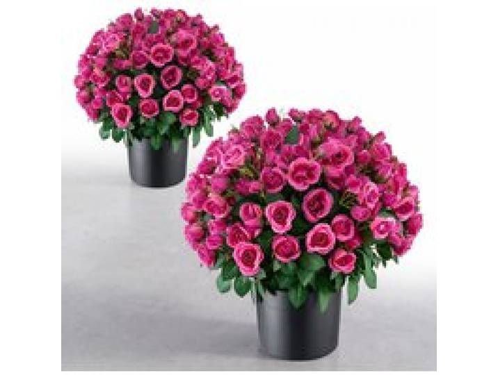 VEVOR 2er-Pack Kunstblumen im Topf 457 mm Hoch Gefälschte Rosen Rosenrot, Künstliche Topfblumen für Innen- & Außenbereich, aus Seidenstoff & PE-Kunststoff, Sofort Einsatzbereite Deko, Pflegefrei