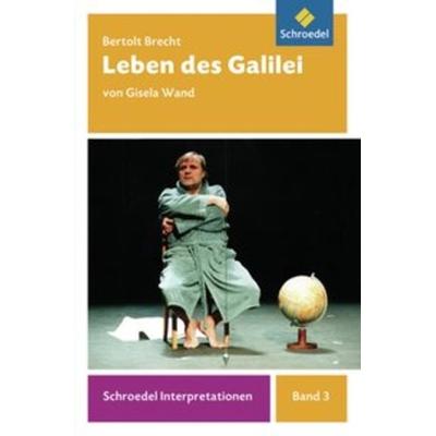 Schroedel Interpretationen, Taschenbuch von Gisela Wand, Schroedel, 978-3-507-47702-5