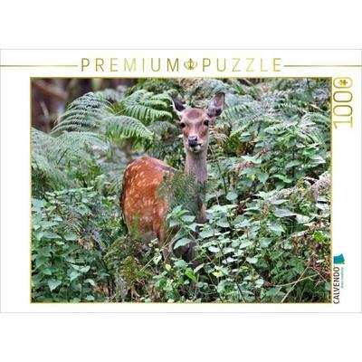 CALVENDO Puzzle Der Sikahirsch - Der kleine Asiat in unseren Wäldern | 1000 Teile Lege-Größe 64x48cm Foto-Puzzle für glückliche Stunden, Sonstige von