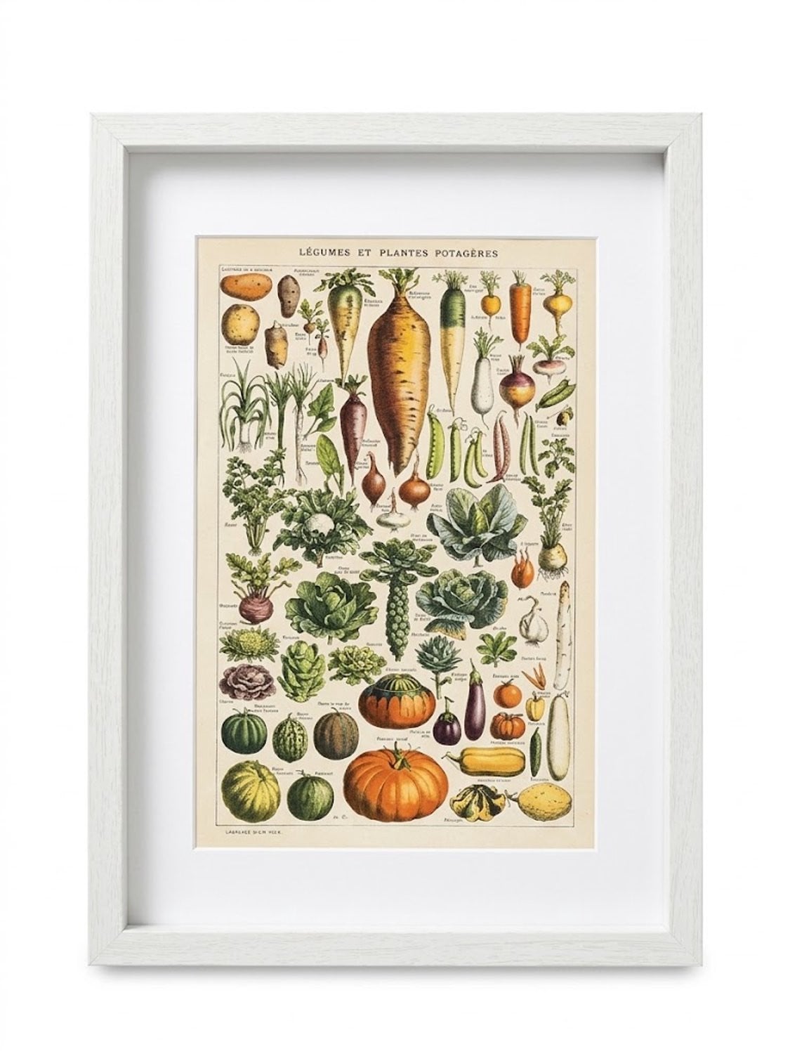 Vintage Botanische Wanddecoratie Witte Ingelijste Kunstprint 31 x 21 cm