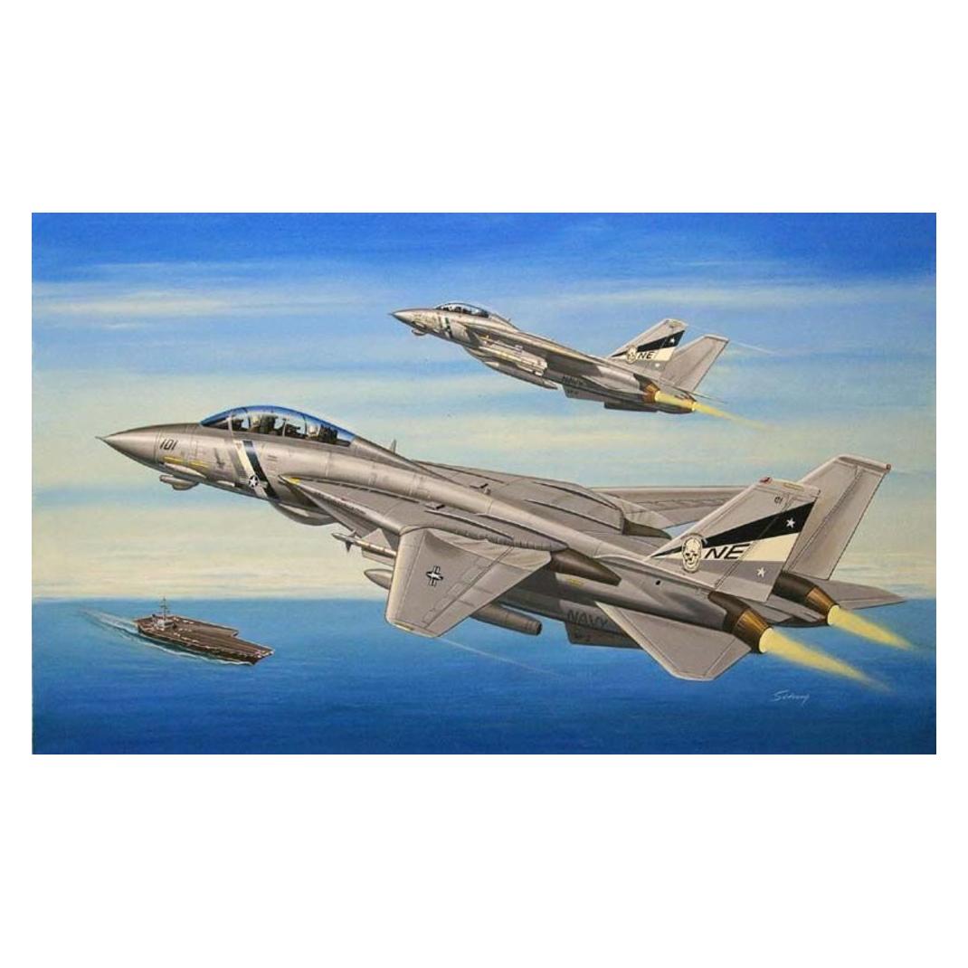 Hobby Boss F-14D Super Tomcat (80278)
