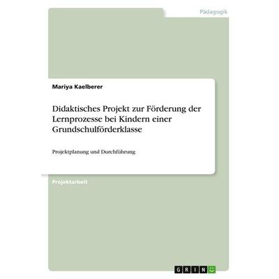 Didaktisches Projekt zur Förderung der Lernprozesse bei Kindern einer Grundschulförderklasse, Taschenbuch von Mariya Kaelberer, GRIN,