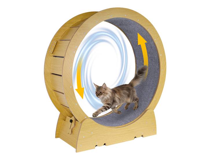 Roue de tapis roulant pour chats d'intérieur, roue de course stable anti-basculement avec tapis, facile à assembler, meilleur cadeau pour les chats actifs et en surpoids