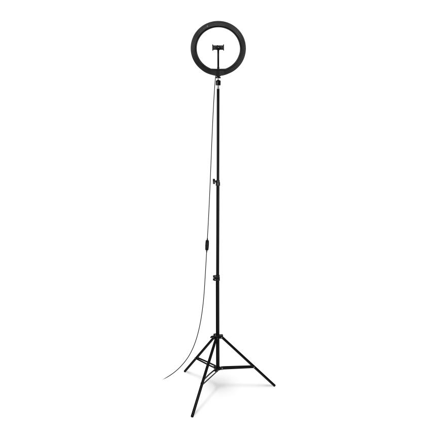 Connect IT Selfie12Ring (Ringlicht) (CLI-3010-LG)