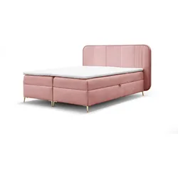 BOXBETT Avery