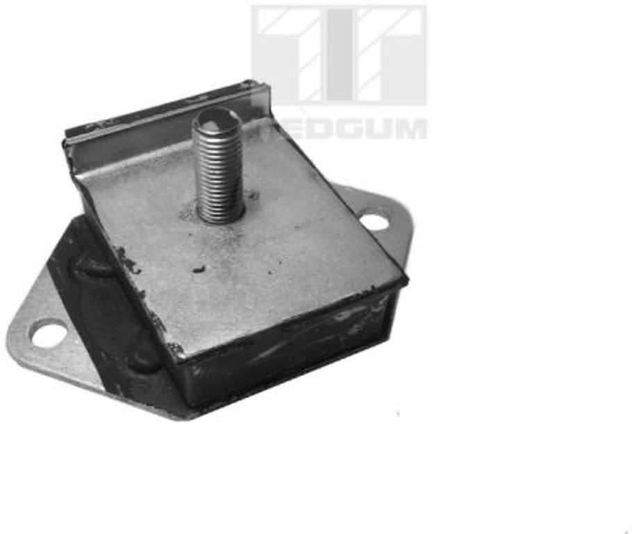 Lagerung, Motor TEDGUM 00241385