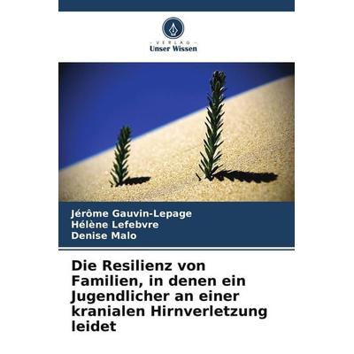 Die Resilienz von Familien, in denen ein Jugendlicher an einer kranialen Hirnverletzung leidet, Taschenbuch von Jérôme Gauvin-Lepage,Hélène