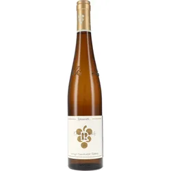 Kastanienbusch Riesling GG Ökonomierat Rebholz 2024 BIO
