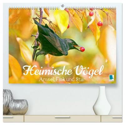 Amsel, Fink und Star: Heimische Vögel (hochwertiger Premium Wandkalender 2026 DIN A2 quer), Kunstdruck in Hochglanz