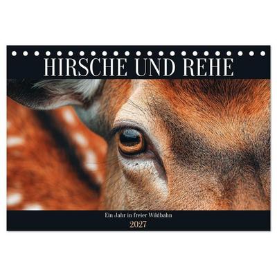 HIRSCHE UND REHE - Ein Jahr in freier Wildbahn (Tischkalender 2027 DIN A5 quer), CALVENDO Monatskalender