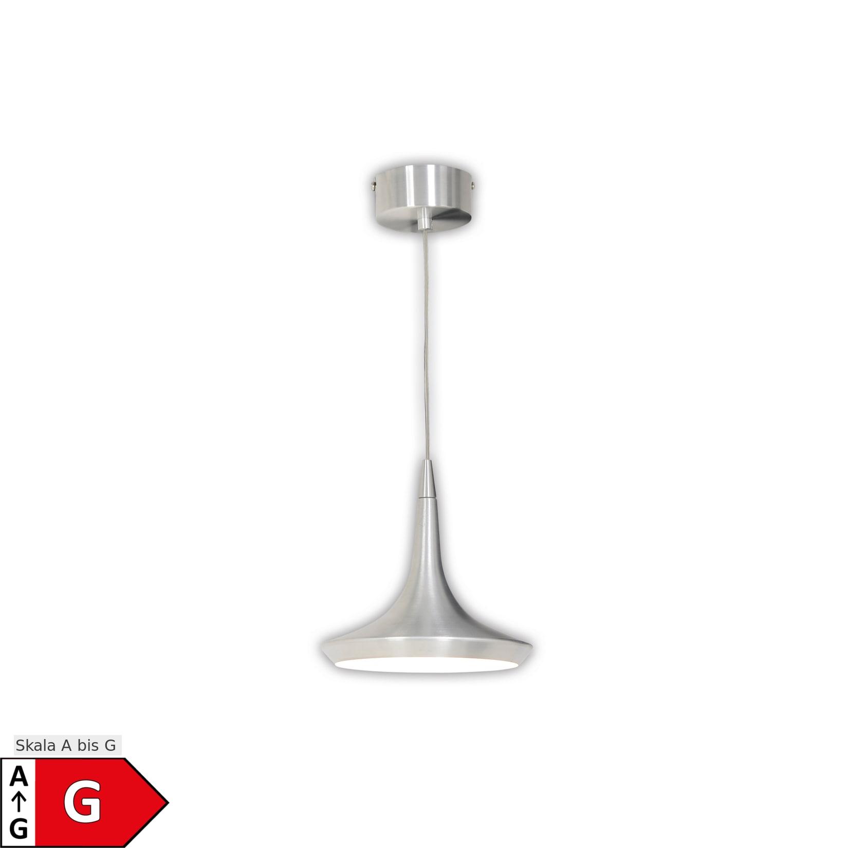 Näve LED Pendelleuchte "OSLO" Ø: 22cm