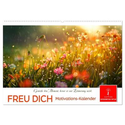 Freu Dich Motivations-Kalender (Wandkalender 2027 DIN A2 quer), CALVENDO Monatskalender