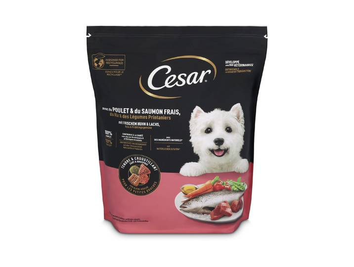 Cesar Trocken-Hundefutter Huhn & Lachs