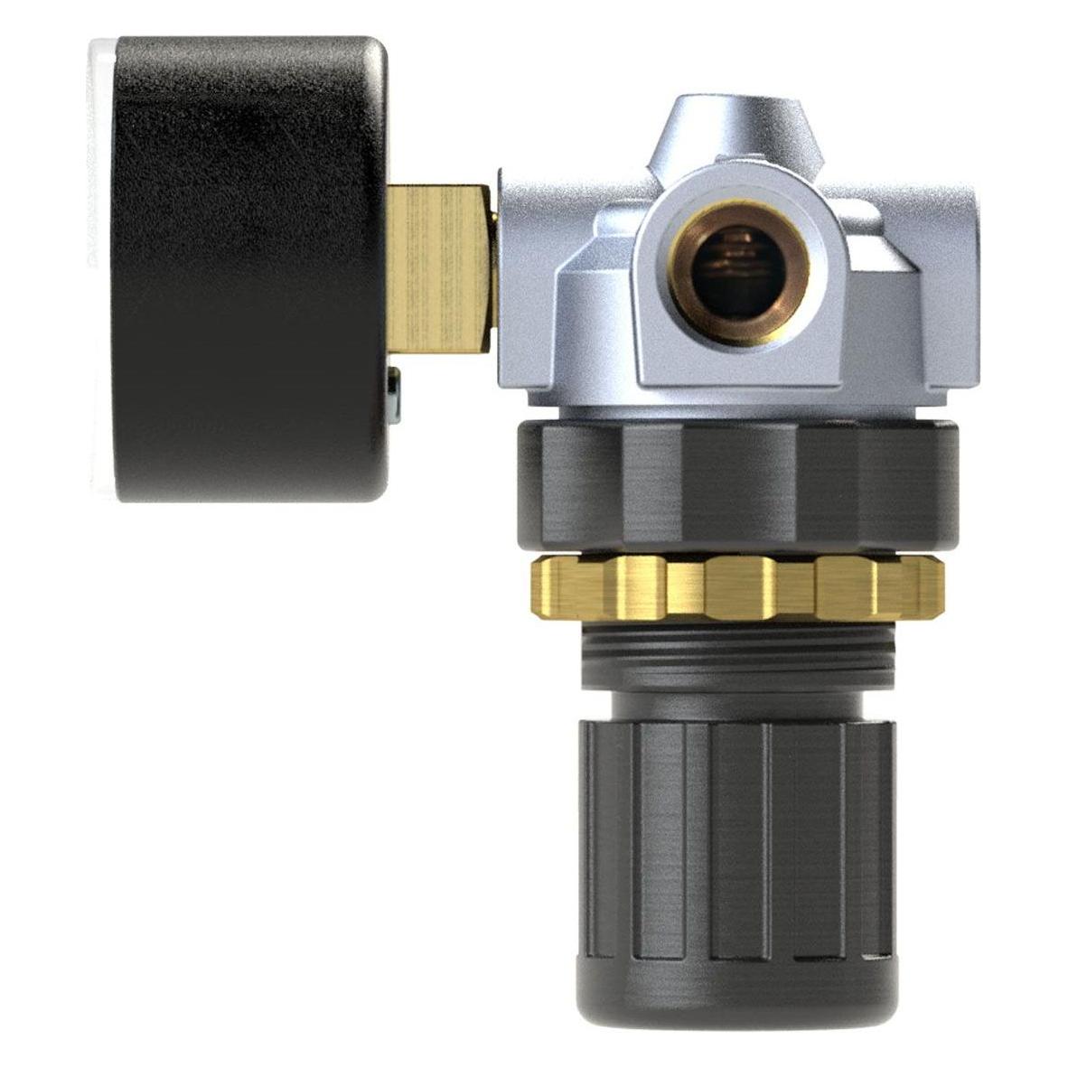 Riegler Druckregler "Standard-mini", Schalttafelmutter, G 1/4, 0,2-6 bar (482.20 B)