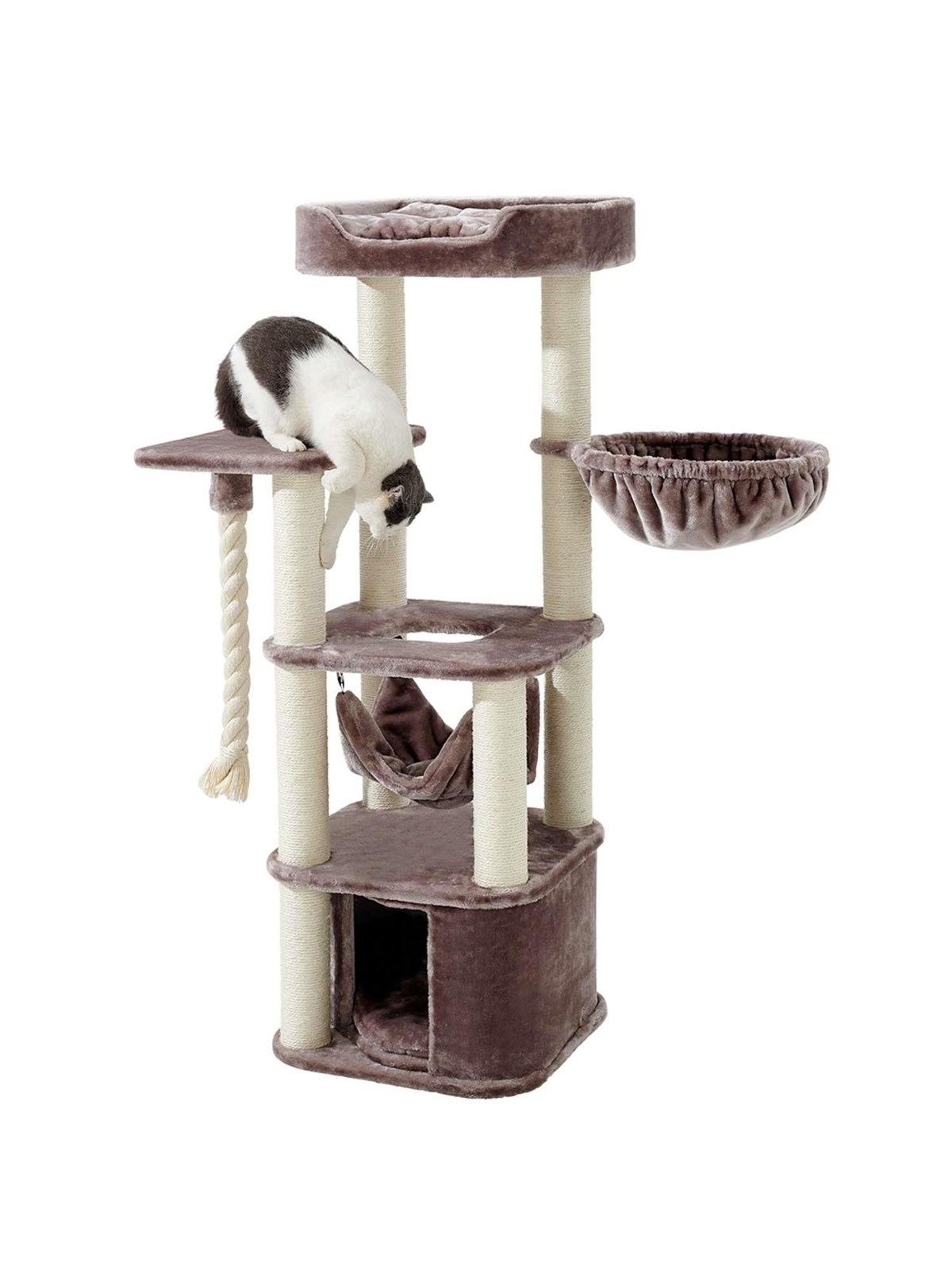 Nobby Kratzturm Classic, ZADA