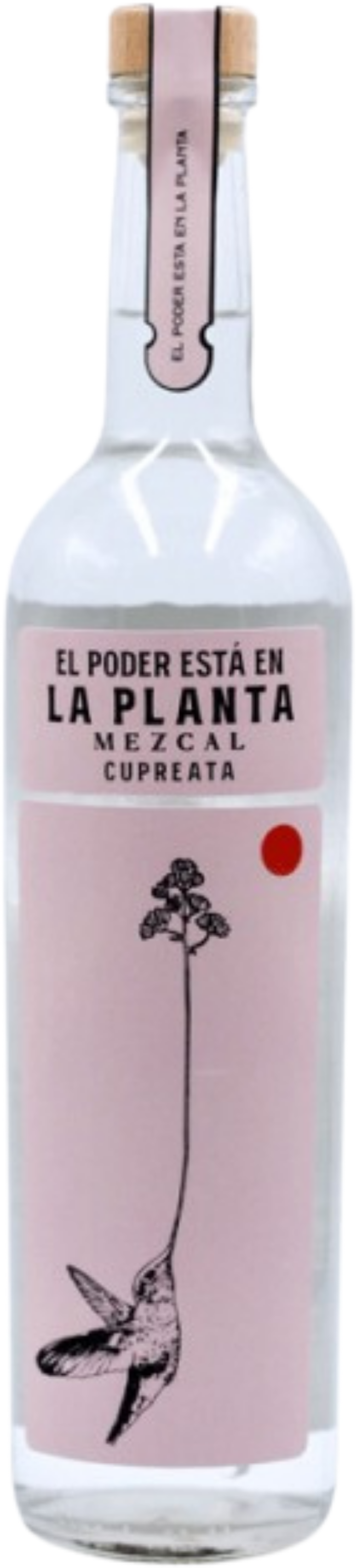 La Planta Mezcal 'Cupreata'