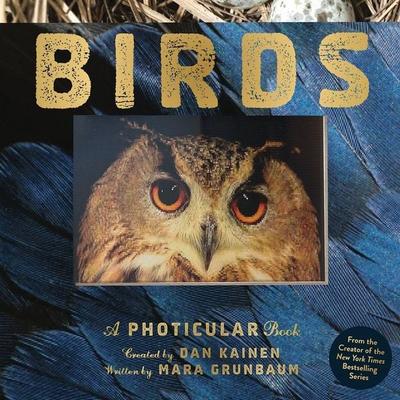 Birds, Gebundene Ausgabe von Dan Kainen,Mara Grunbaum, Workman Publishing, 978-1-5235-3207-0