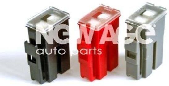 NEW AGE 252/2/45A Fuse