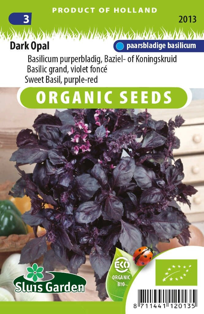 Sluis Garden Basilicum Dark Opal