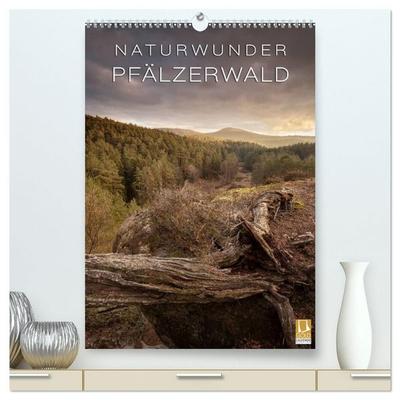 NATURWUNDER PFÄLZERWALD (hochwertiger Premium Wandkalender 2027 DIN A2 hoch), Kunstdruck in Hochglanz