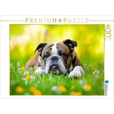 CALVENDO Puzzle Englische Bulldogge genießt die Natur | 2000 Teile Lege-Größe 90x67cm Foto-Puzzle für glückliche Stunden, von , Calvendo Puzzle