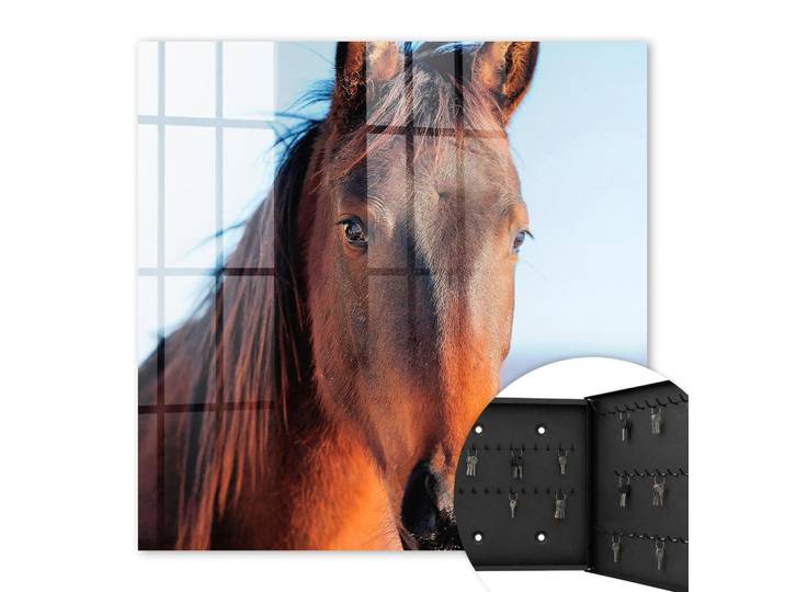 SCHLÜSSELBOX Schwarz 30x30 cm- Türöffnung nach rechts - Porträt eines Pferdes
