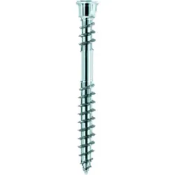 Terrassotec Edelstahl gehärtet 5,5 x 50 TX25 - rot