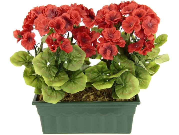 Kunstblume OTTO HOME Geranie , rot, B:30cm H:36cm L:18cm, Obermaterial: 90% Polyester, 10% Kunststoff, Kunstpflanzen, Kunstblume, Im Kasten