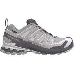 SALOMON XA PRO 3D V9 GTX Schuh 2027 alloy/castlerock/lunar rock - 46 2/3