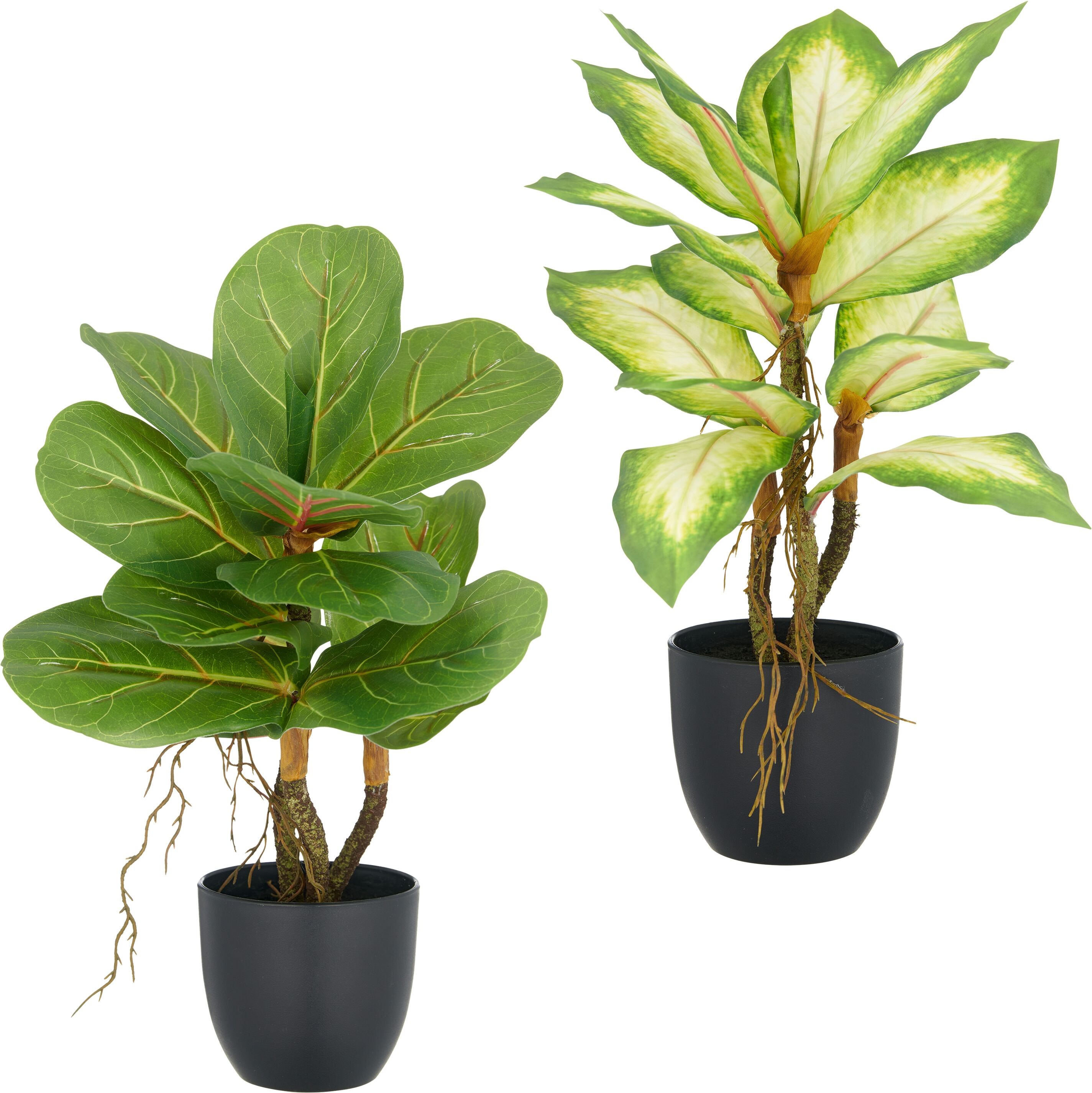 Kunstpflanze CREATIV GREEN "Ficus und Dieffenbachia", grün, H:34cm, Kunststoff, Kunstpflanzen, Kunstpflanze, mit Luftwurzeln