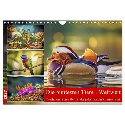 Die buntesten Tiere - Weltweit (Wandkalender 2027 DIN A4 quer), CALVENDO Monatskalender