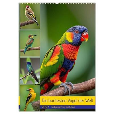 Die buntesten Vögel der Welt (Wandkalender 2027 DIN A2 hoch), CALVENDO Monatskalender