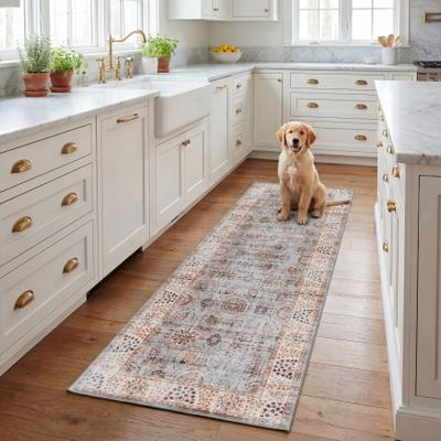 SAFAVIEH Tucson Villar Transitional Rug