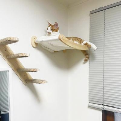 Youfap Market Wall Mounted Cat Hammock & Scratching Shelf With Sisal Rope, Ideal Climbing And Grinding Toy For Kittens Wall Mounted Cat Hammock & Scratching Shelf With Sisal Rope, Ideal Climbing And Grinding Toy For Kittens