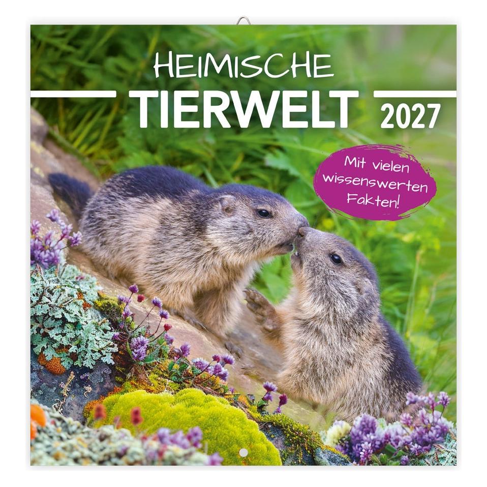 Trötsch HeimischeTierwelt2027 (70119985)