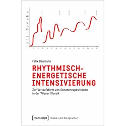 Rhythmisch-energetische Intensivierung, Fachbücher von Felix Baumann