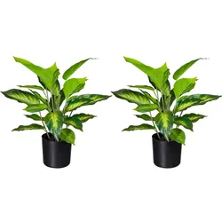 CREATIV green Künstliche Pflanze Dieffenbachia 45cm im Topf, 2er Set