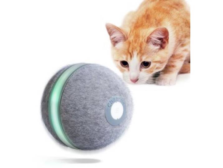Cheerble - Jouet Interactive Ball M1 Gray