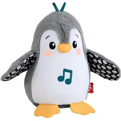 Fisher-Price Flatter & Wackel (20.32 cm)