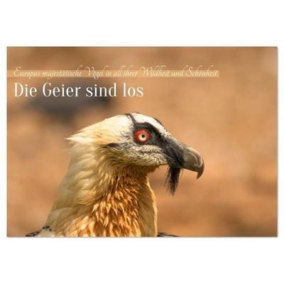 Die Geier sind los (Tischkalender 2026 DIN A5 quer), CALVENDO Monatskalender