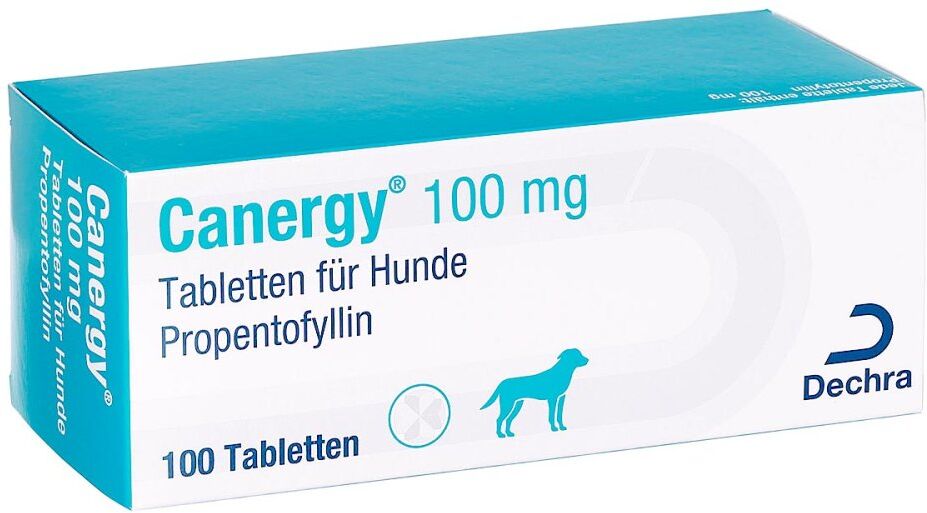 Canergy 100mg Tabletten für Hunde Propentofyllin